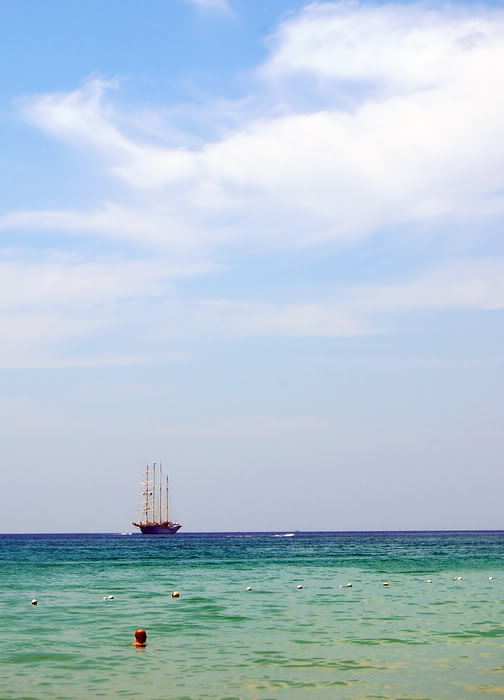 DSC_6584_resize.jpg