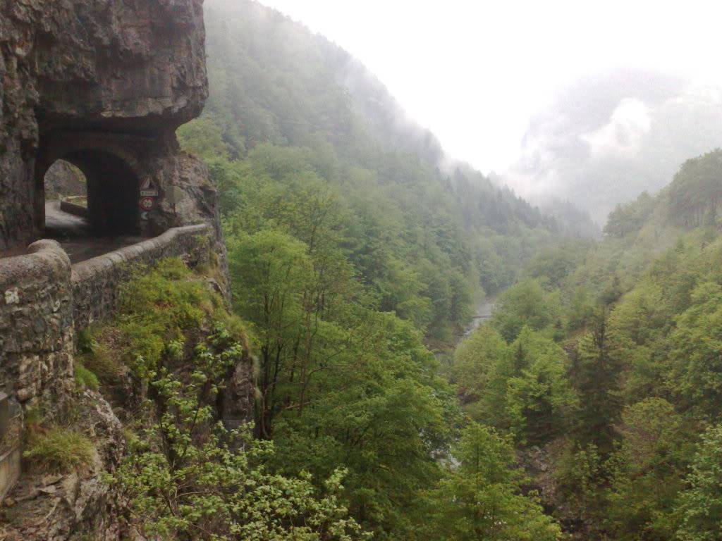 14052009077.jpg