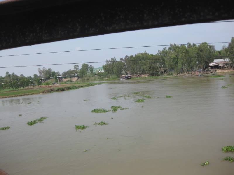 DongThapTET2011433.jpg