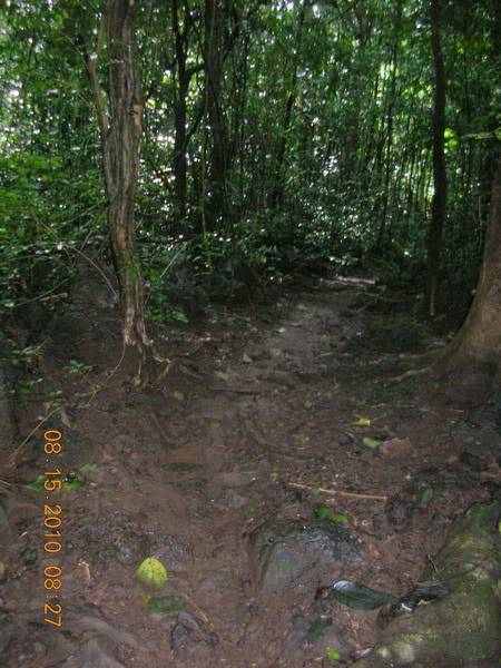 DSCN8999.jpg