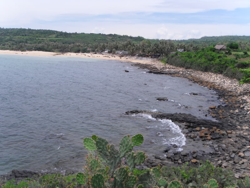 SDC14159.jpg
