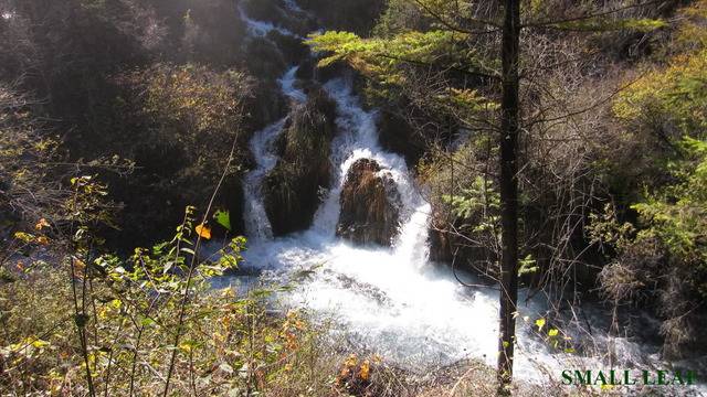 IMG_1888_1.jpg