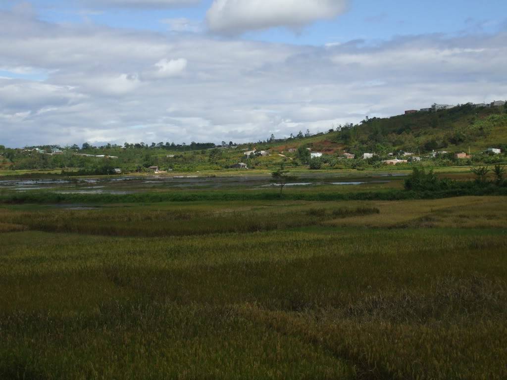 DSCF3410.jpg