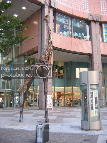IMG_0617_resize.jpg