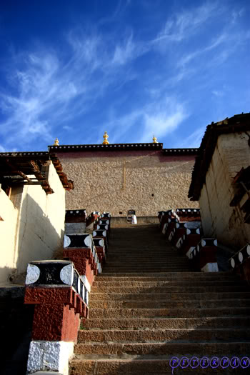 shangri-la105.jpg
