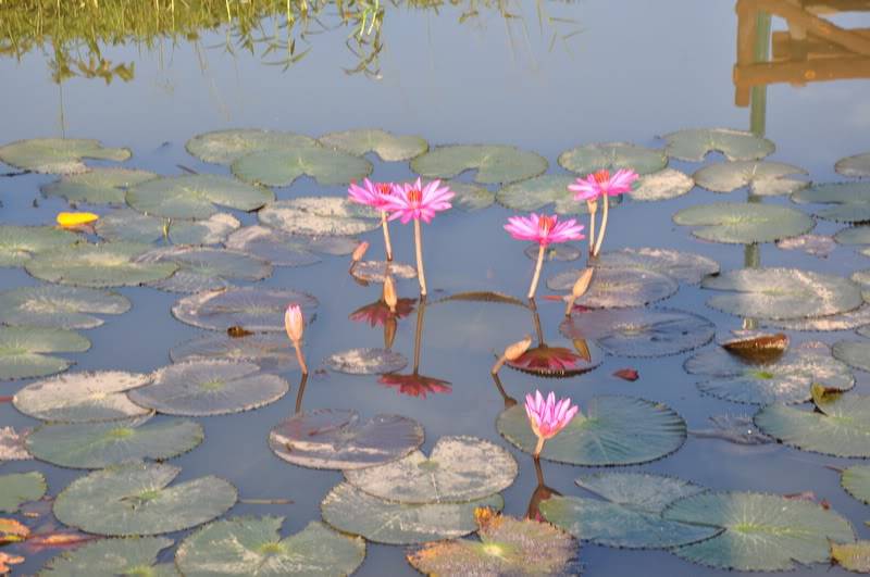 DSC_3714_resize.jpg