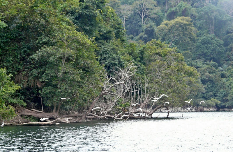P1050584.JPG