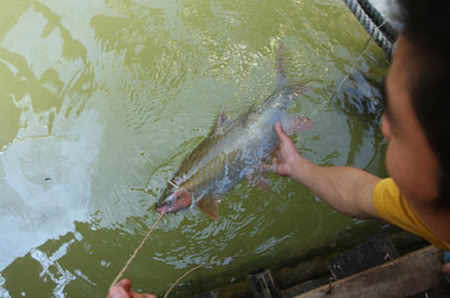 20110726-142207-4-ho42.jpg