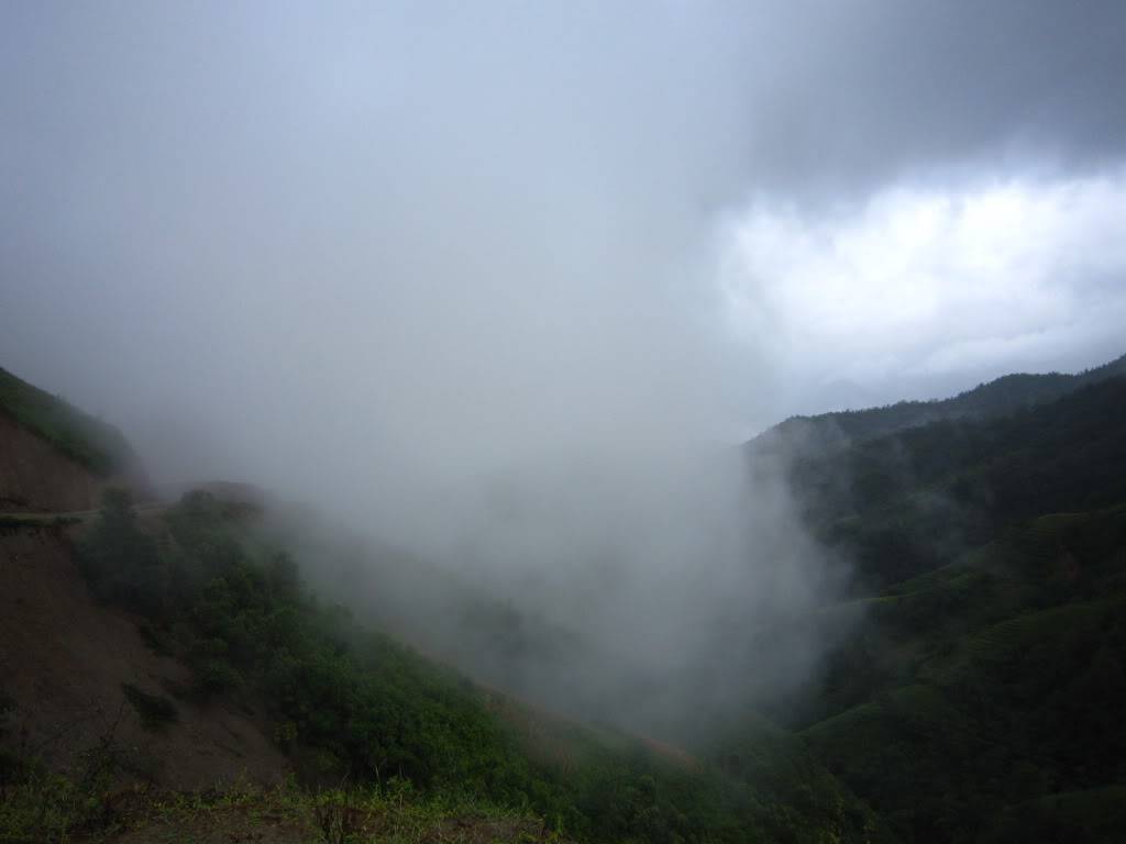 IMG_5497.jpg