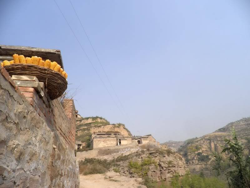PA202669.jpg