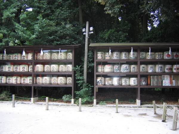 IMG_1043_resize.jpg