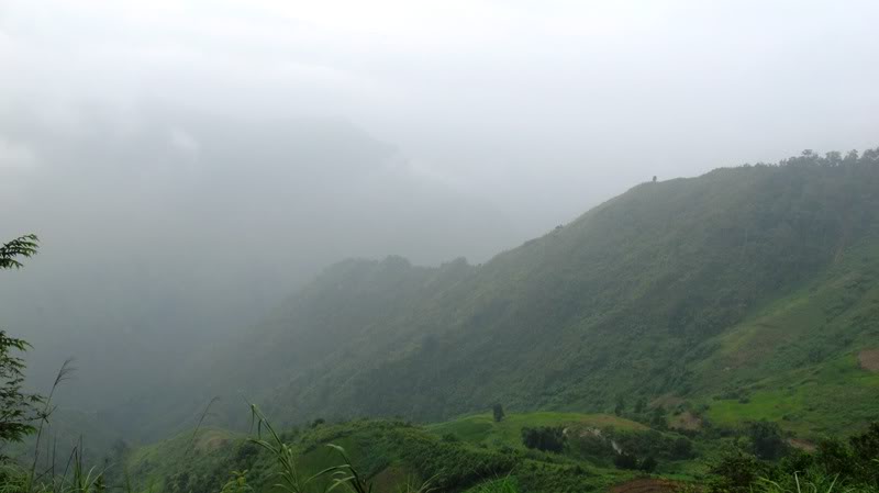 IMG_2408.jpg