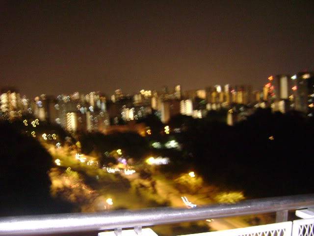 DSC03809.jpg