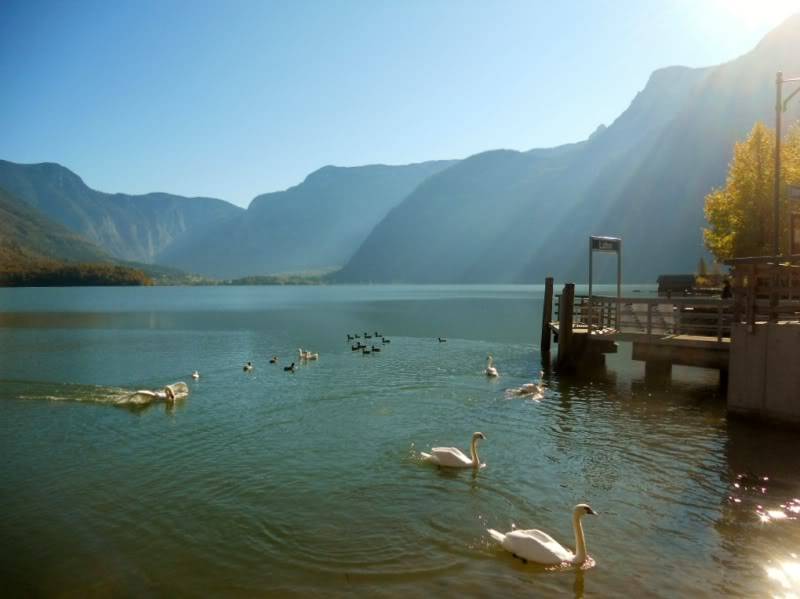 DSCN5194.jpg