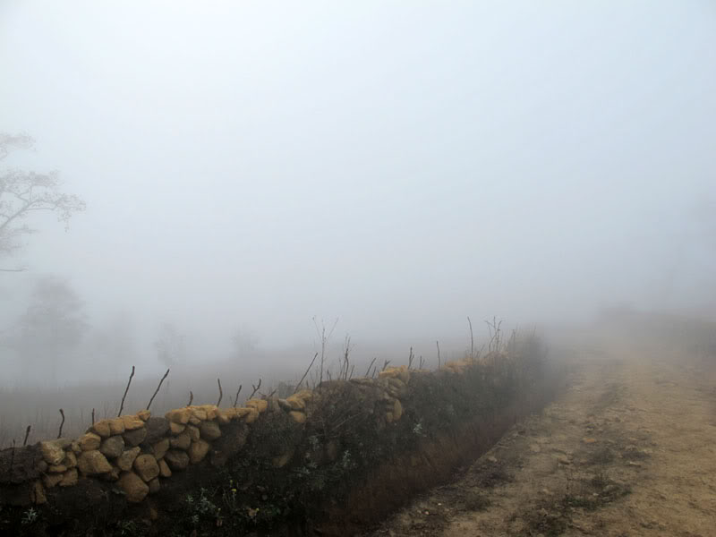 HongNgai2011569.jpg