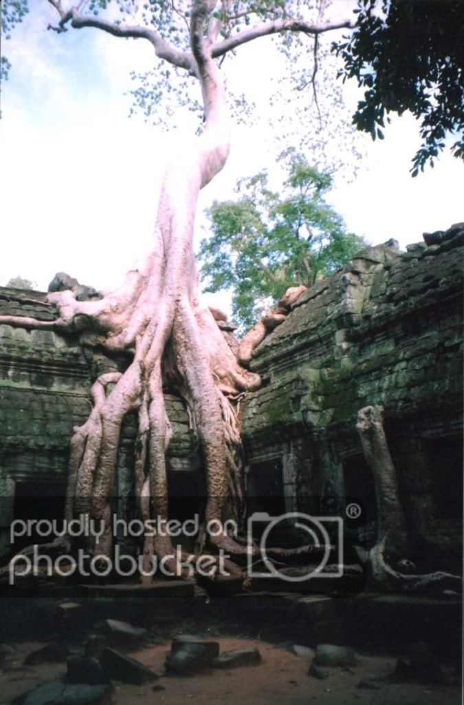 ta20prohm202.jpg