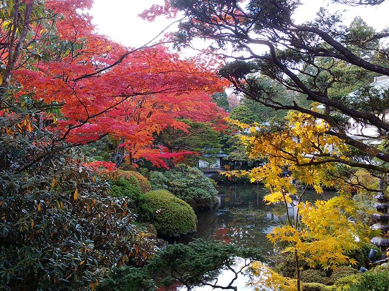 nikko32.jpg