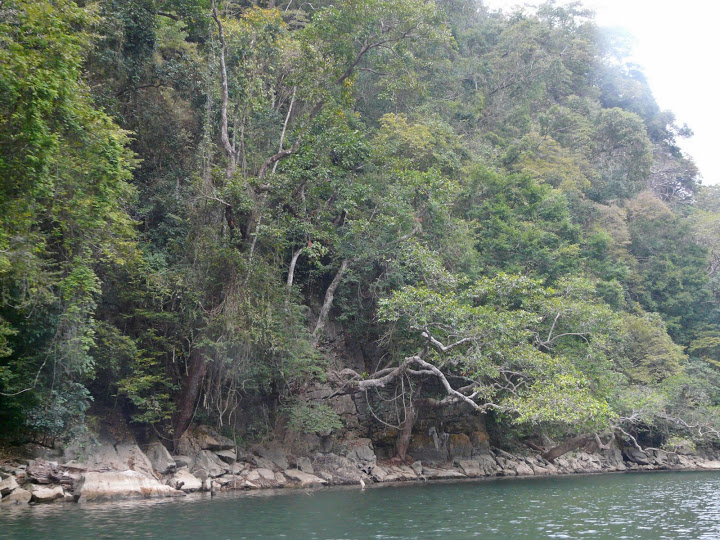 P1050536.JPG