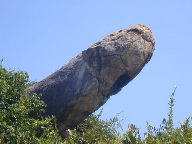 DSCN0049.jpg