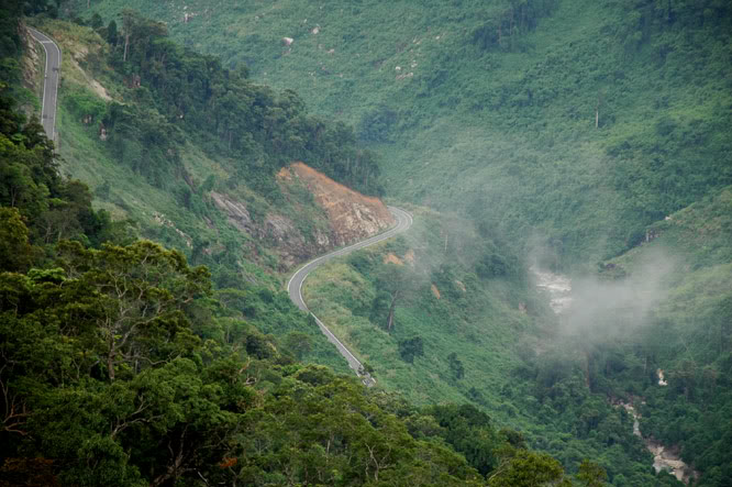 DSC_6701.jpg