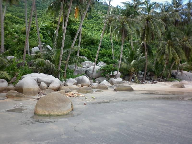 P1000982.jpg