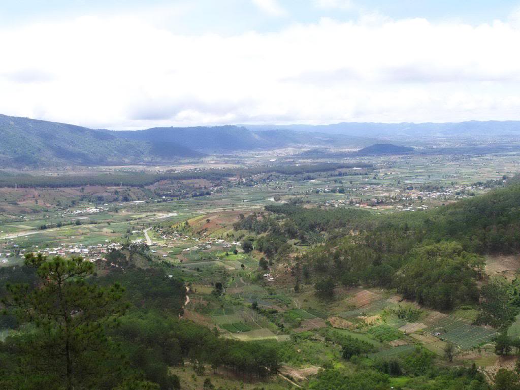 _MG_7800.jpg