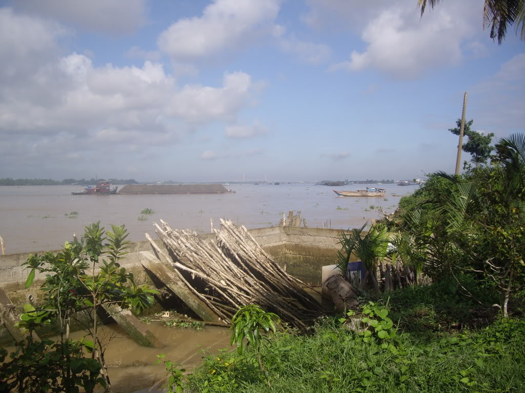 IMGP5496.jpg
