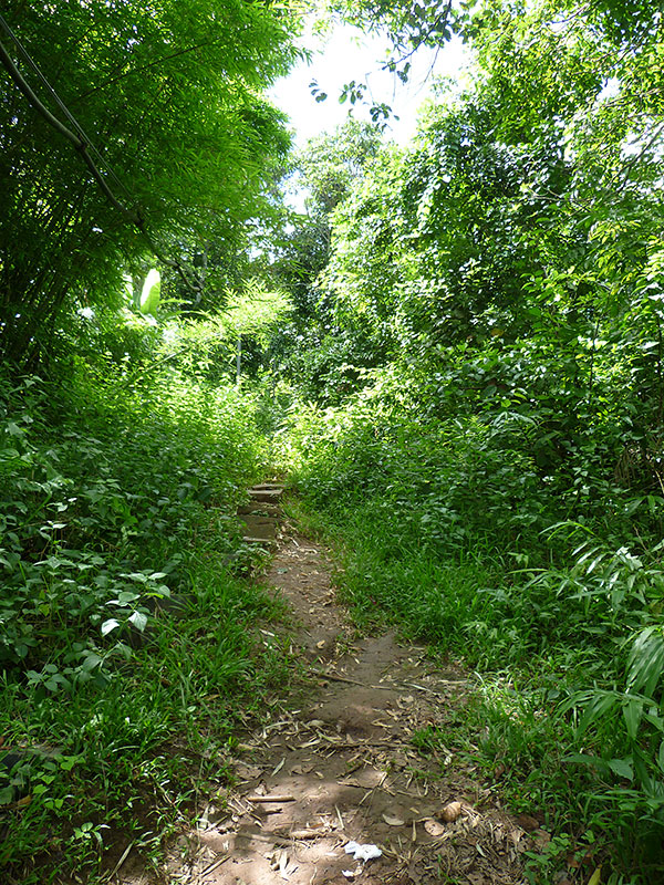 P1070236_zps276fa564.jpg