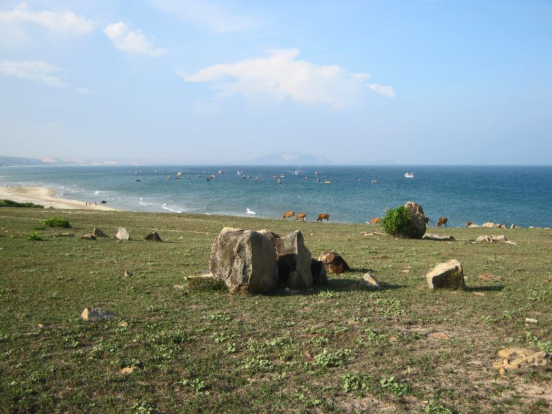 IMG_4468.jpg