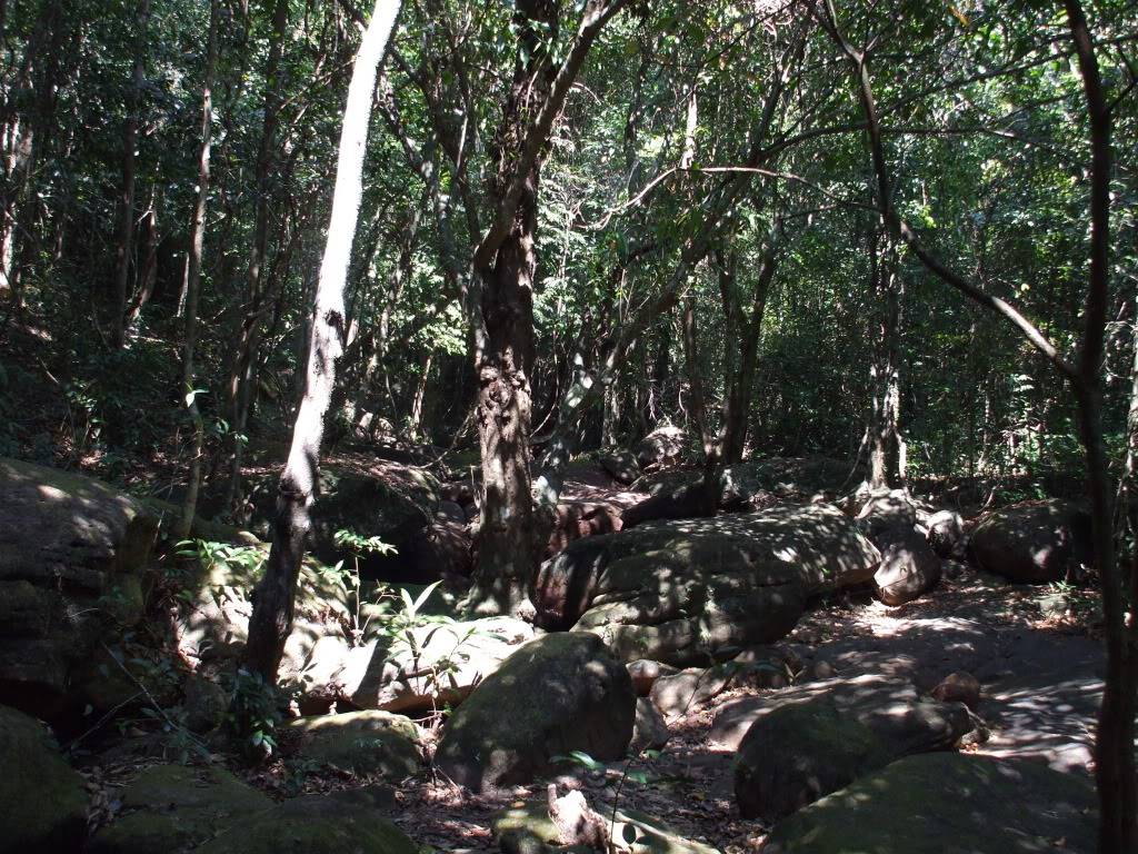 DSCF5103.jpg