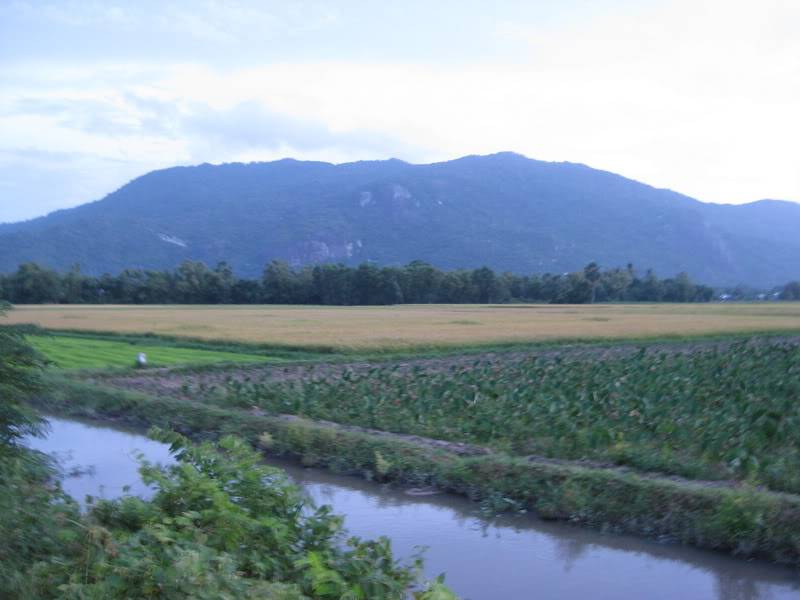 IMG_0598_resize.jpg