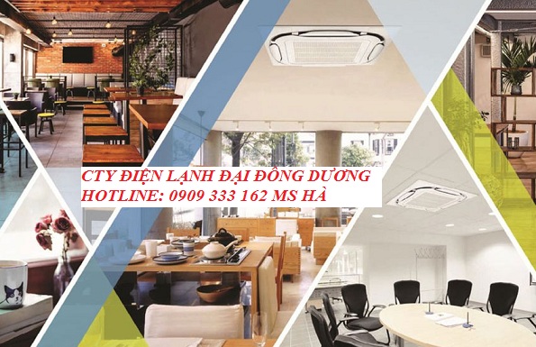 am_tran_2020202020202.jpg