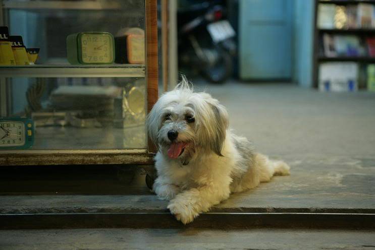 Hoian002.jpg
