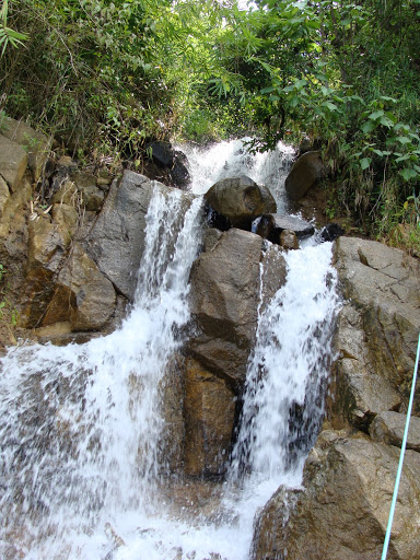 DSC03341.JPG