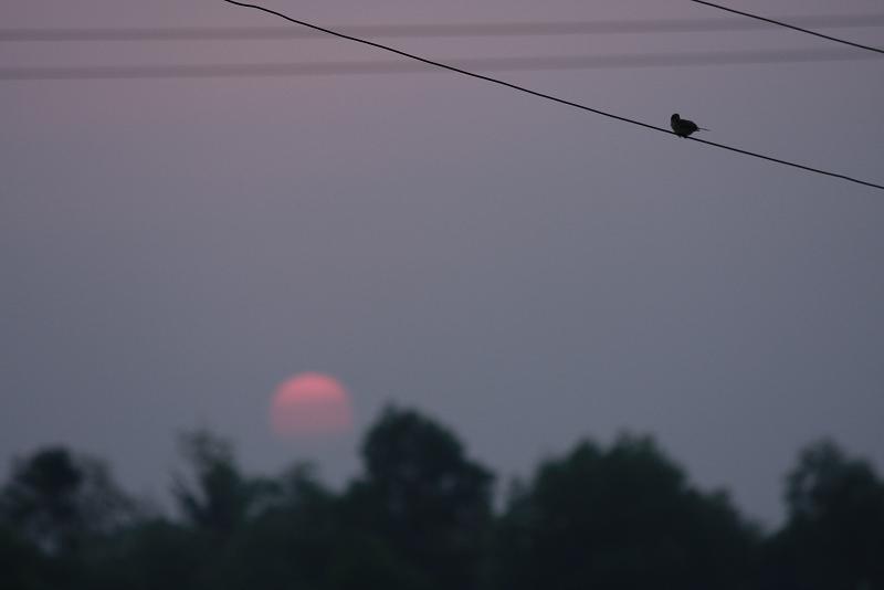 2464652970_9d017f580f_o.jpg