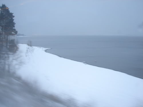 DSC05624.jpg