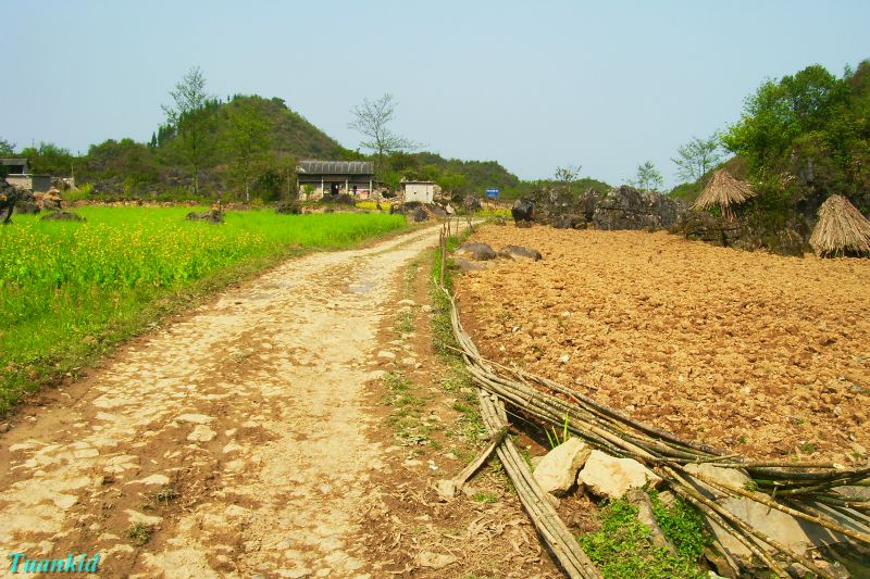 SDC16579.jpg