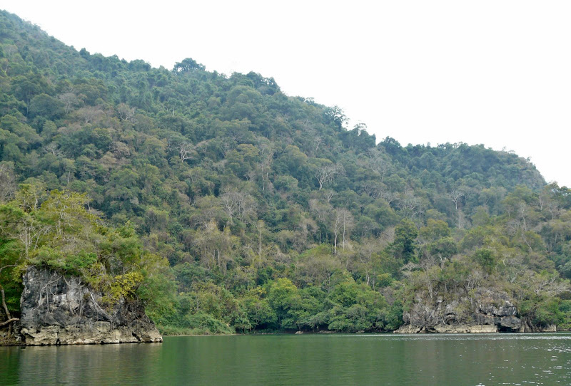 P1050635.JPG