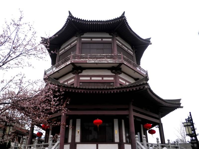 P4050329.jpg