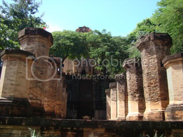 DSC00525.jpg