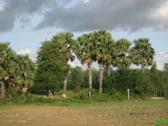 IMG_1452.jpg