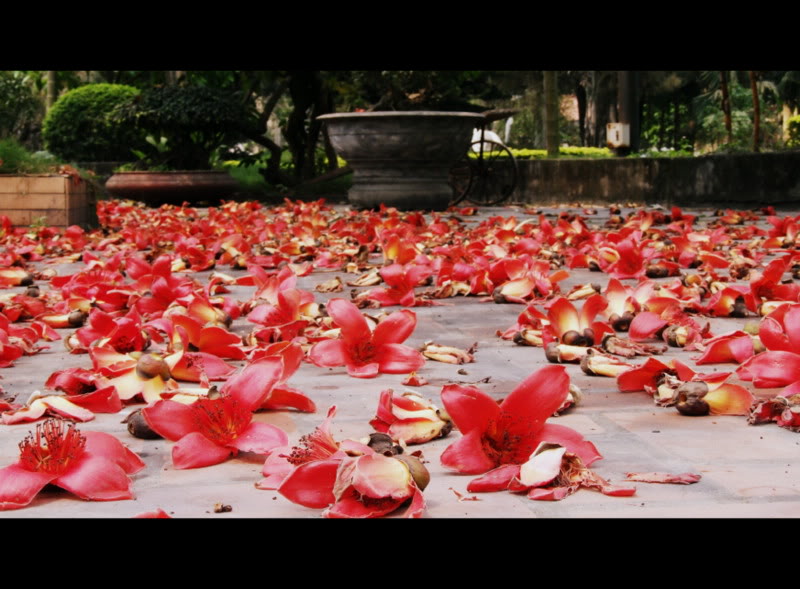 DSCF3890.jpg
