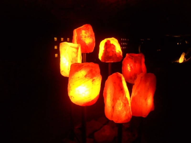 DSCN5365.jpg