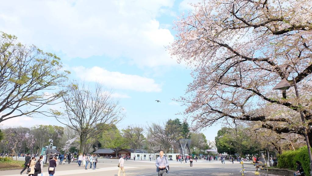 DSCF3853.jpg