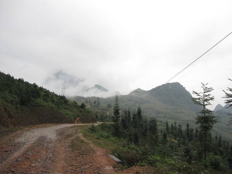 IMG_3137.jpg