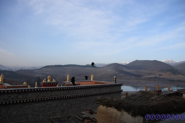 shangri-la40.jpg