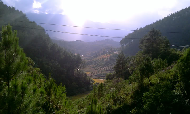 IMAG1004.jpg