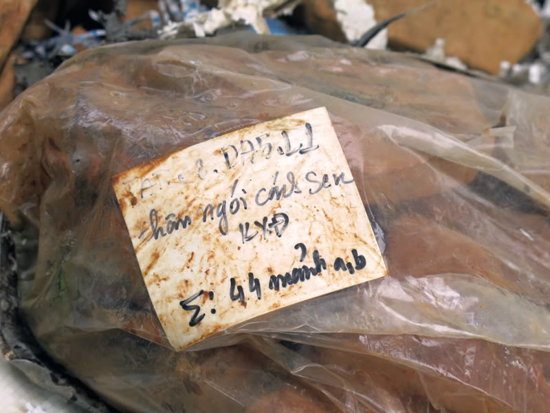 TayYenTu1010441.jpg
