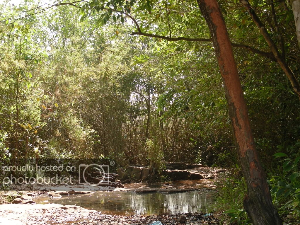DSCN3294-1.jpg