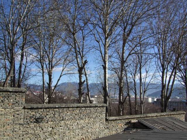 DSCF1722.jpg
